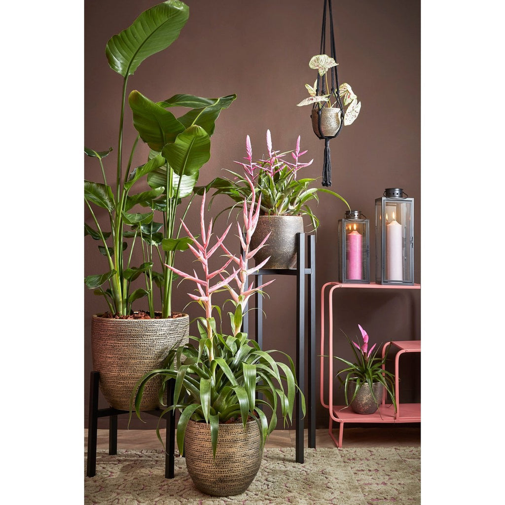 Plantenstandaard Ascot Zwart Mica Decorations