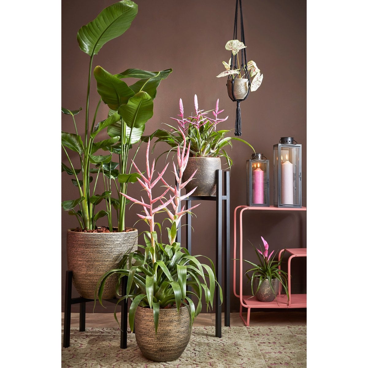 Plantenstandaard Ascot Zwart Mica Decorations